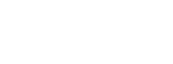 logo pulsetechsolutions white